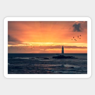 St Marys lighthouse Sunrise Sticker